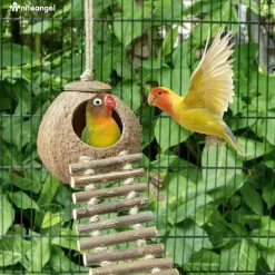 DTOPBUYAGE - Nid et jouet pour oiseaux et hamsters avec échelle