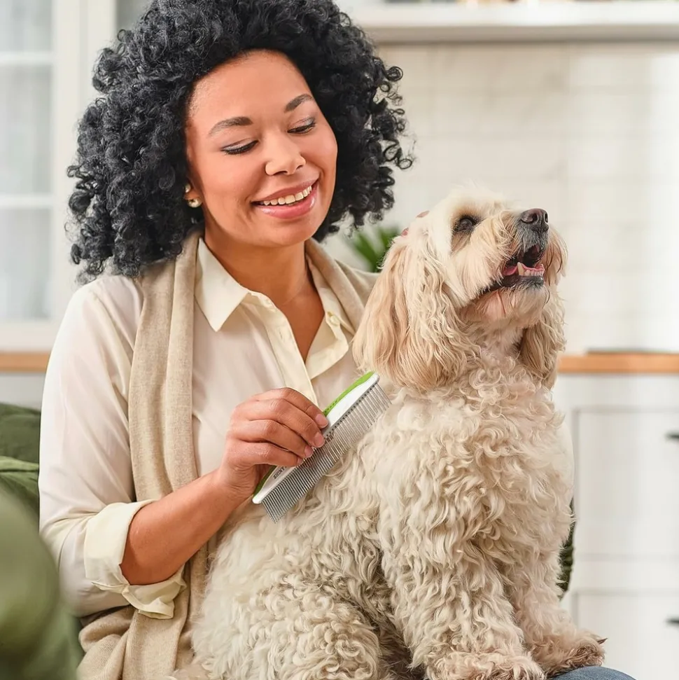 DTOPBUYAGE - Peigne pour chien et chat - dents en acier inoxydable