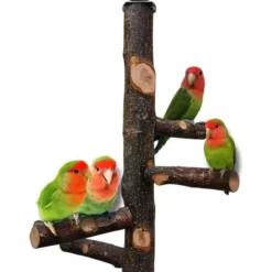 DTOPBUYAGE - Perchoir bois naturel oiseaux
