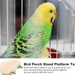 DTOPBUYAGE - Perchoir en bois pour cage d'oiseaux jouet