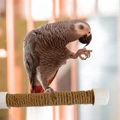 DTOPBUYAGE - Perchoir ventouse accessoire oiseaux