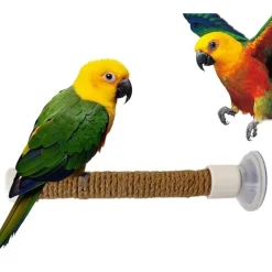 DTOPBUYAGE - Perchoir ventouse accessoire oiseaux