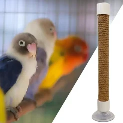 DTOPBUYAGE - Perchoir ventouse accessoire oiseaux