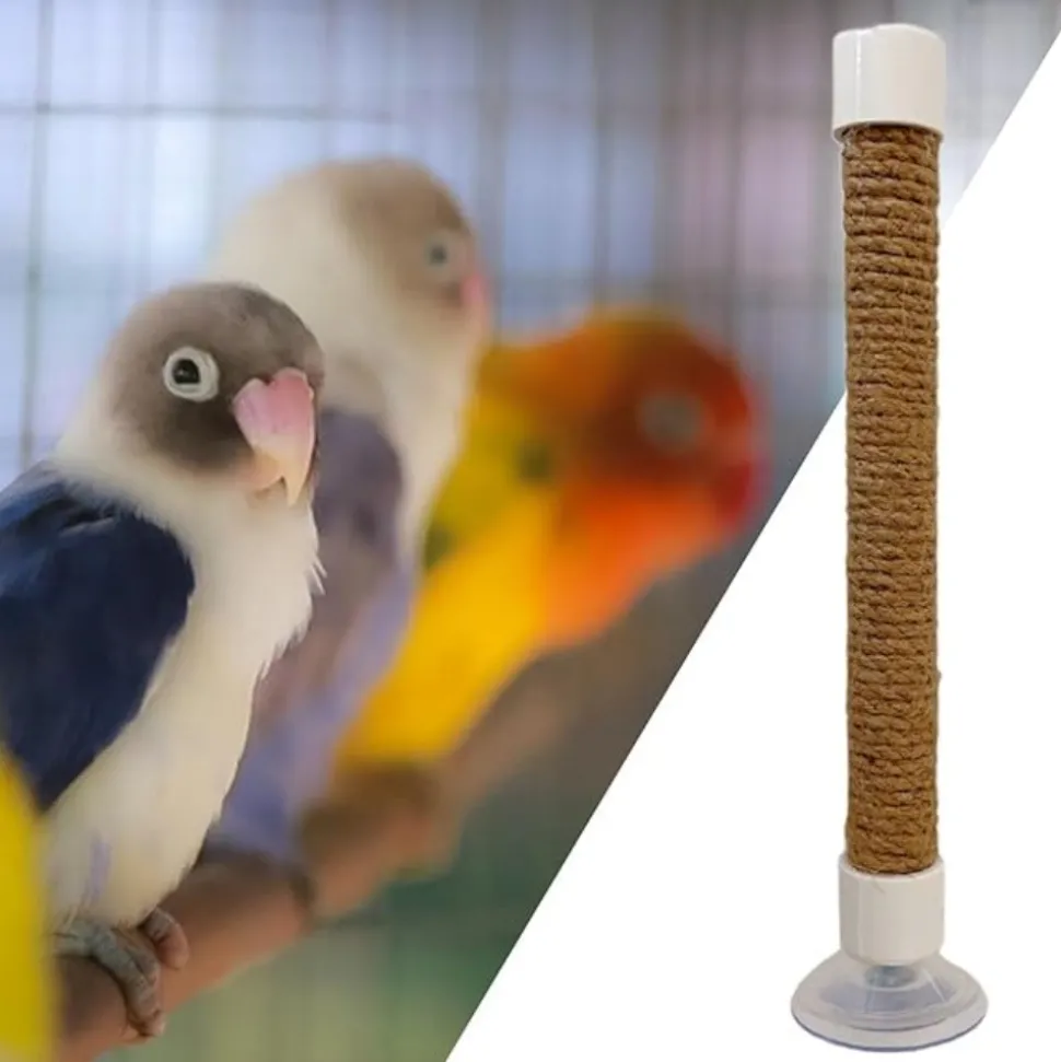 DTOPBUYAGE - Perchoir ventouse accessoire oiseaux