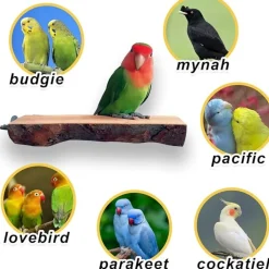 DTOPBUYAGE - Perchoirs bois naturel oiseaux moyen