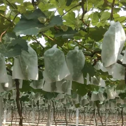 DTOPBUYAGE - Sachets de protection pour fruits en non - tissé épais avec cordon 15*30cm 50 pièces dtopbuyage