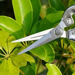 DTOPBUYAGE - Sécateur rouge pour taille branches et fleurs