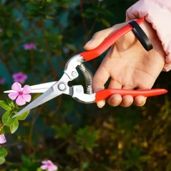 DTOPBUYAGE - Sécateur rouge pour taille branches et fleurs