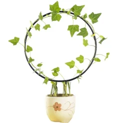 DTOPBUYAGE - Supports de treillis en fer circulaires pour plantes grimpantes dtopbuyage