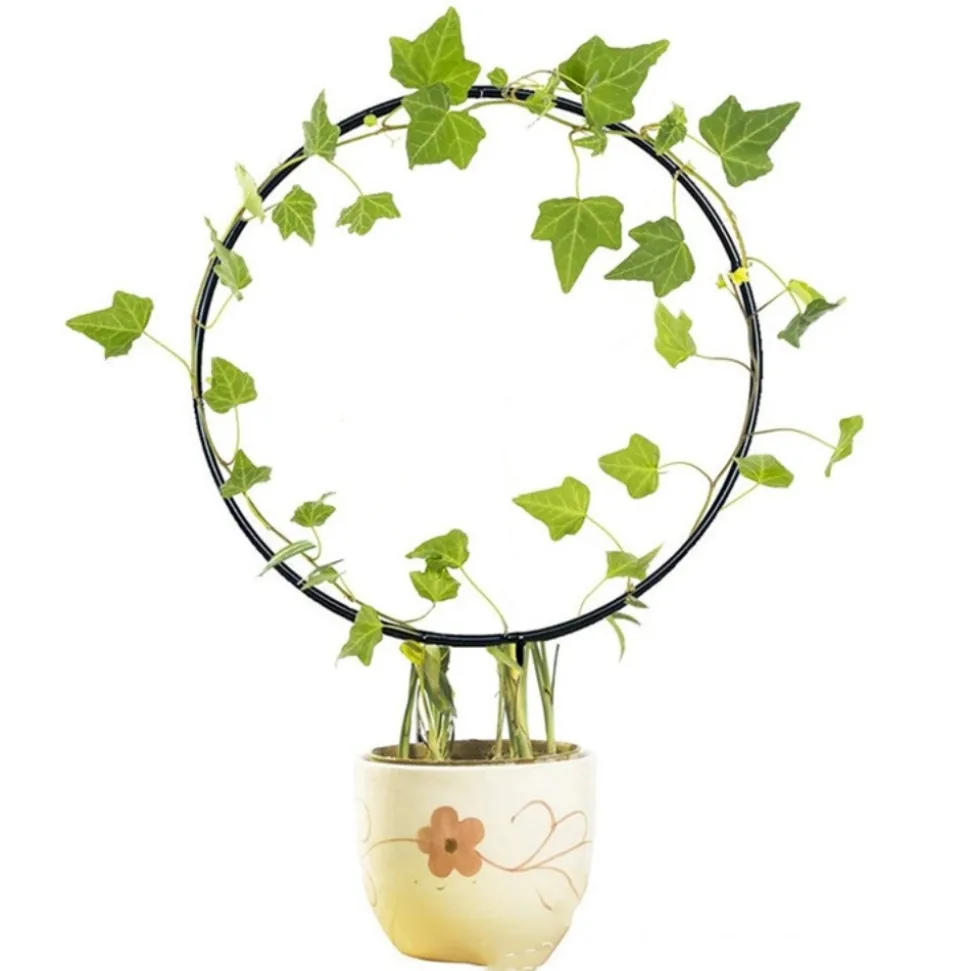 DTOPBUYAGE - Supports de treillis en fer circulaires pour plantes grimpantes dtopbuyage