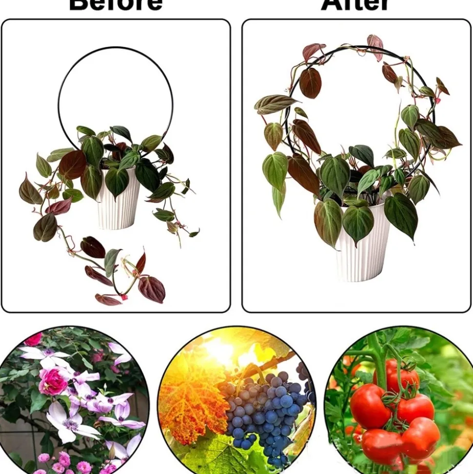 DTOPBUYAGE - Supports de treillis en fer en forme de cœur pour plantes grimpantes dtopbuyage