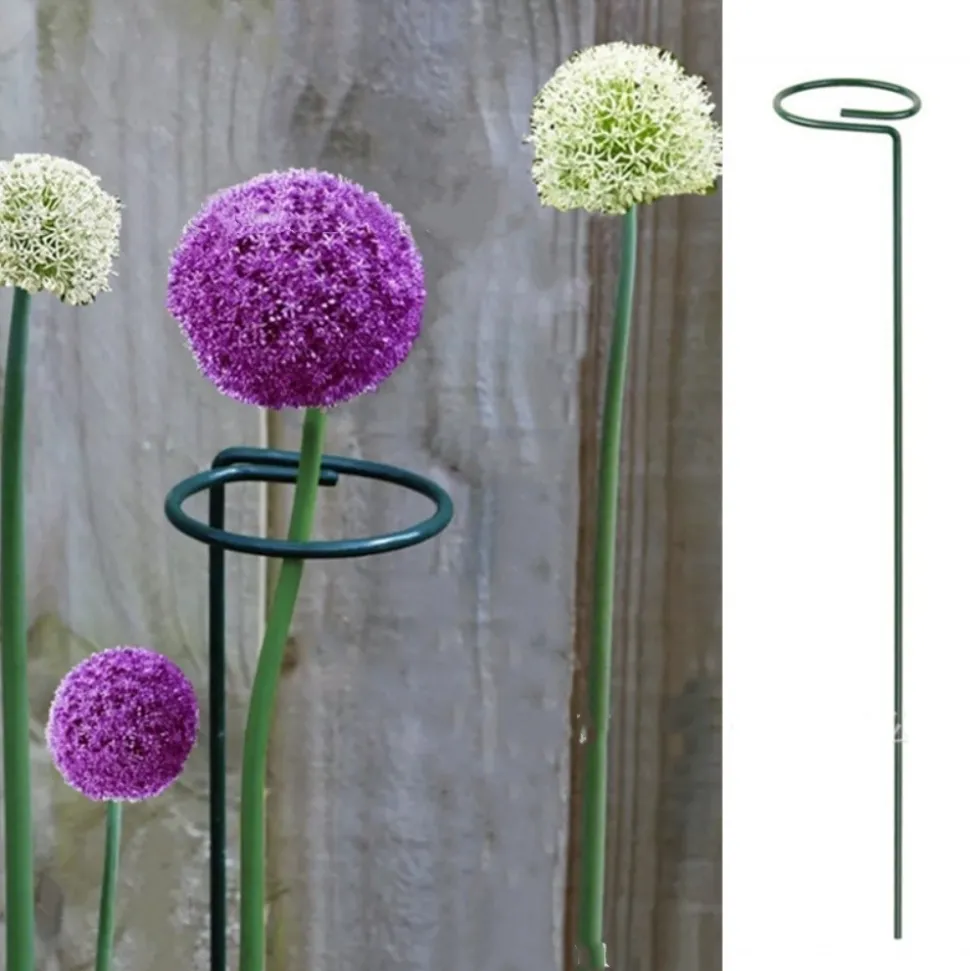 DTOPBUYAGE - Supports pour fleurs en fer forgé 30cm, 10 pièces dtopbuyage