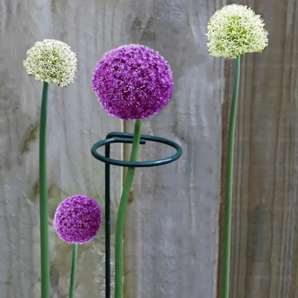 DTOPBUYAGE - Supports pour fleurs en fer forgé 30cm, 10 pièces dtopbuyage