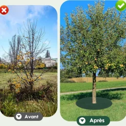 DTOPBUYAGE - Tissu de jardinage non - tissé diamètre 32cm lot de 10 dtopbuyage