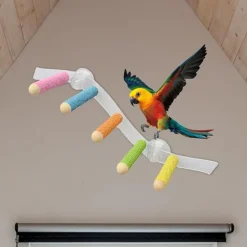 DTOPBUYAGE - Ventouse perche en bois pour perroquet cage jouet