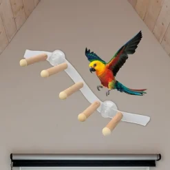 DTOPBUYAGE - Ventouse perche en bois pour perroquet cage jouet