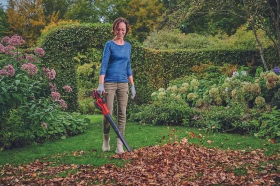 EINHELL - Souffleur universel sans fil ge-ub 18/250 li e-solo - sans batterie