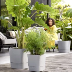 ELHO - Pot Greensense Aqua Care ciment carré, à reservoir d'eau - L.30cm