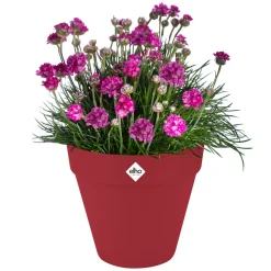 ELHO - Pot Loft rond à roulettes, coloris rouge théâtre - D.38,5xH.35,3cm