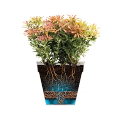 ELHO - Pot Loft rond à roulettes, coloris rouge théâtre - D.38,5xH.35,3cm