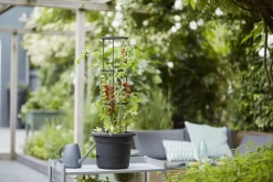 ELHO - Pot pour tomates Green Basics en plastique injecté noir - D.33 cm