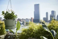 ELHO - Pot suspension Greenville rond en plastique vert - D.23,9 cm