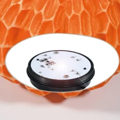 ESOTEC - Citrouille lumineuse solaire 20 cm