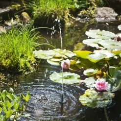 ESOTEC - Kit pompe de bassin solaire esotec palermo 5/330 avec boîtier d'accumulateurs et anneau lumineux led 101775