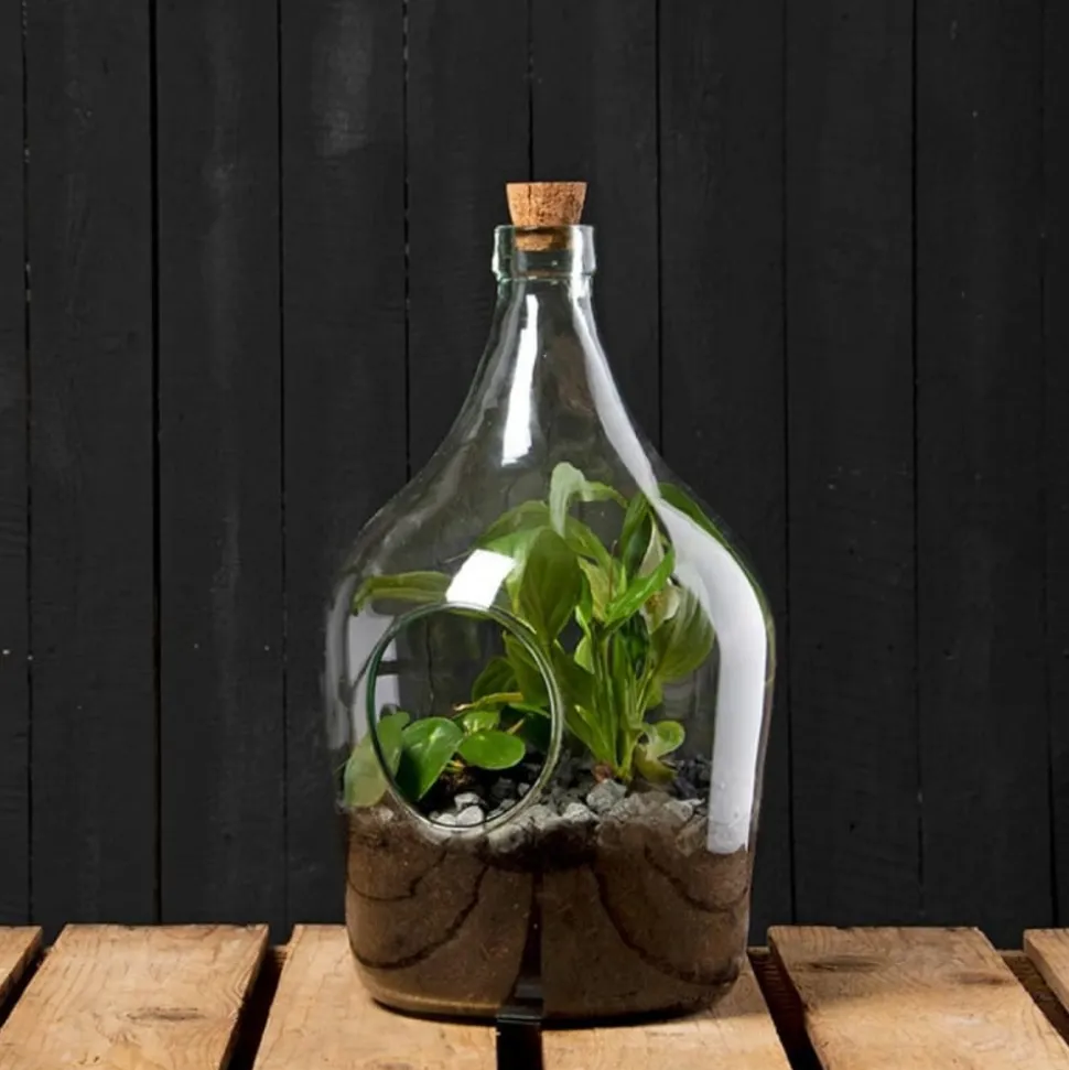 ESSCHERT DESIGN - Bouteille terrarium 5 litres