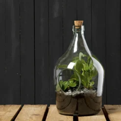 ESSCHERT DESIGN - Kit complet terrarium diy faire soi-même