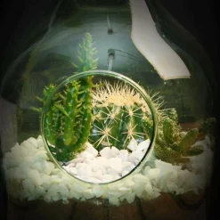 ESSCHERT DESIGN - Kit complet terrarium diy faire soi-même