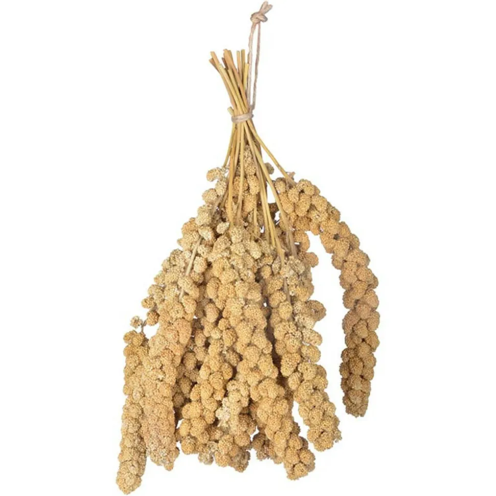 ESSCHERT DESIGN - Millet pour oiseaux 400 gr