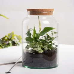 ESSCHERT DESIGN - Pot pour terrarium 32 cm