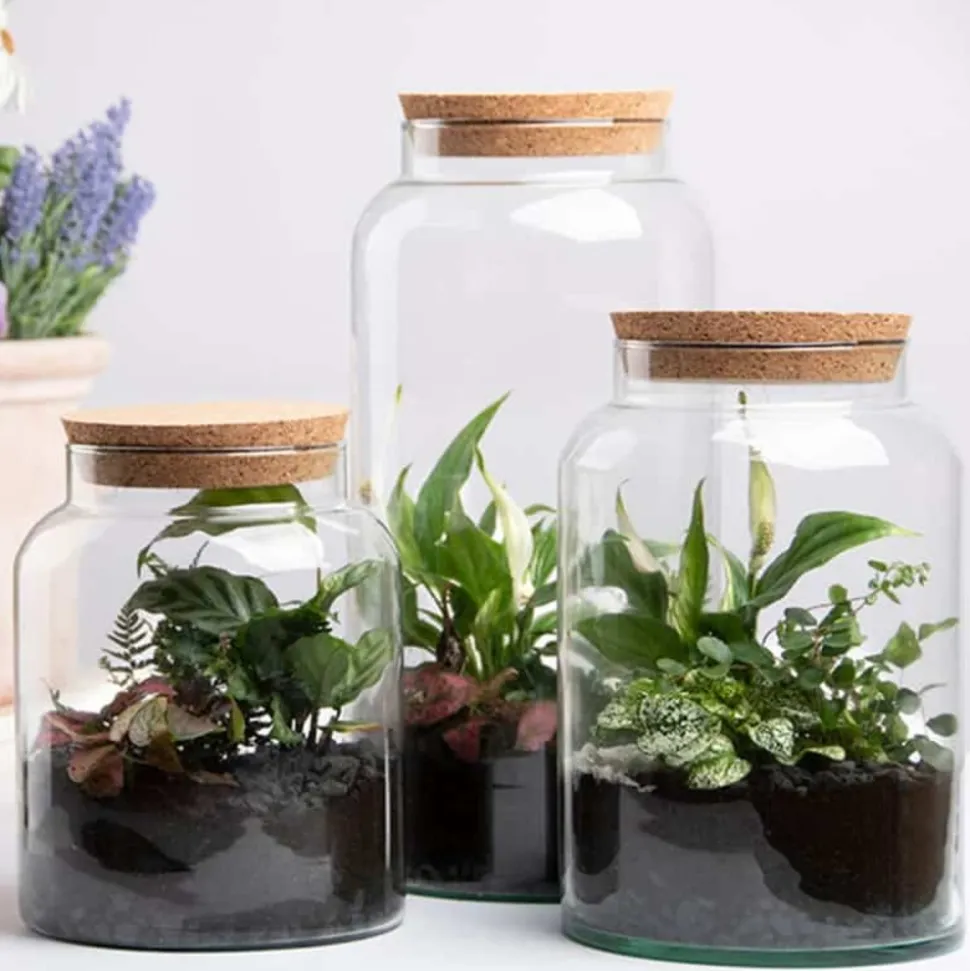 ESSCHERT DESIGN - Pot pour terrarium 26 cm