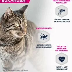 EUKANUBA - Eukanuba - chat adulte - sans céréales - pâtée agneau 85 g