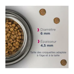 EUKANUBA - Eukanuba - croquettes sans céréales au saumon pour chaton 2kg