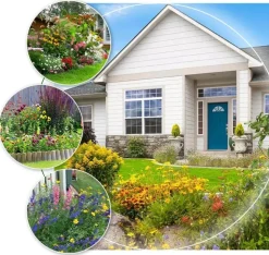 EUROPA GREEN - Mélange de fleurs pour abeilles (17m2) - gazon japonais