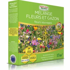 EUROPA GREEN - Mélange de fleurs - gazon japonais - (lot de 3 mélange de fleurs)
