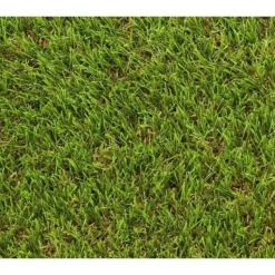 EXELGREEN - Gazon artificiel - synthetique - decoration - - 124414 - natura 2d - 38mm / 1 x 5 m