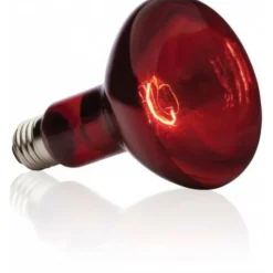 EXO TERRA - Basking spot lampe infrarouge 75 w