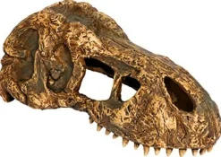 EXO TERRA - Cachette t-rex skull small
