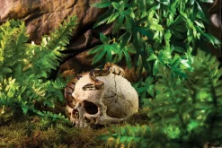 EXO TERRA - Crane primate décoration reptile amphibien grand