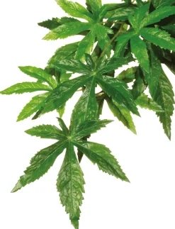 EXO TERRA - Plantes rainforest à suspendre feuillage abutilon grand