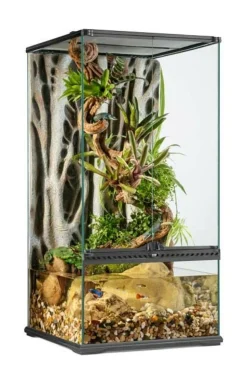 EXO TERRA - Terrarium en Verre pour Reptiles et Amphibiens/paludarium s/x-tall