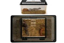 EXO TERRA - Terrarium polyvalent en plastique - faunarium plat medium pour reptiles (lézards, serpents), amphibiens et invertébrés