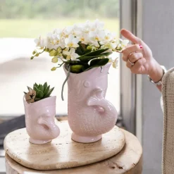 EXOTENHERZ - Kolibri orchids orchidée blanche nazaré + pot à poisson rose - taille de pot 9cm