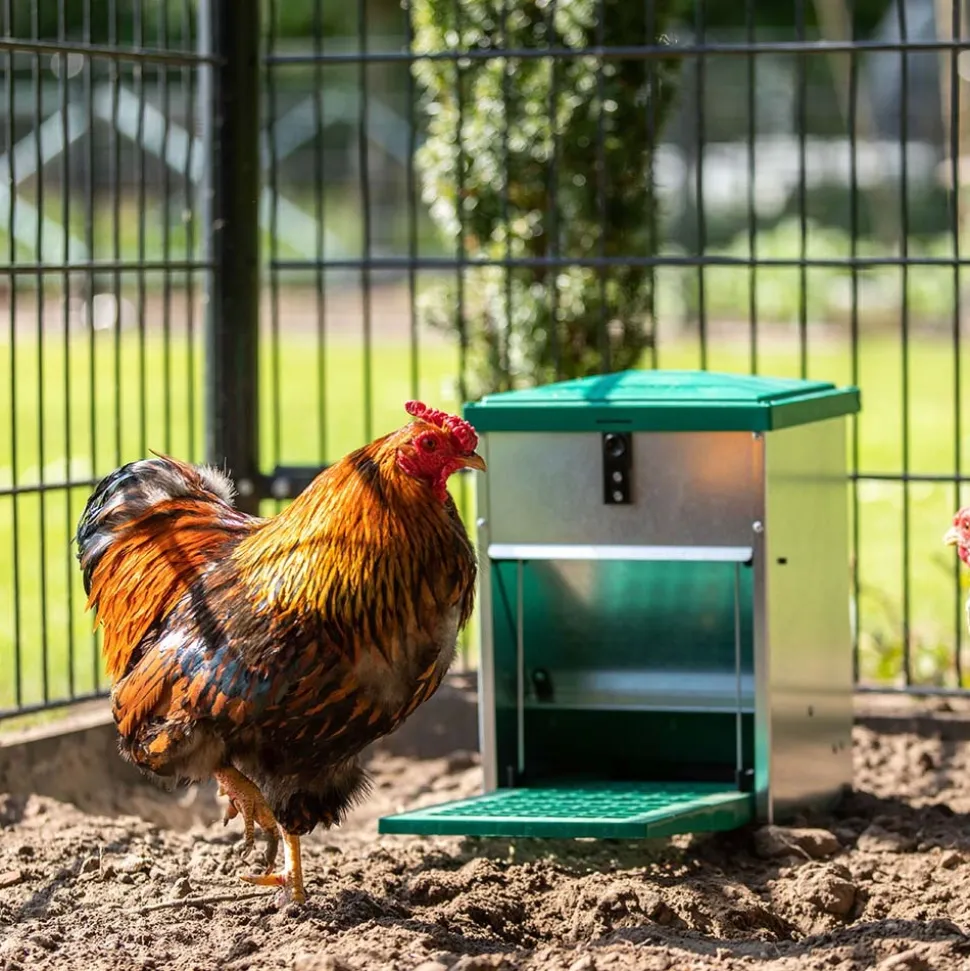 FEEDOMATIC - Mangeoire anti-nuisibles 5 kg pour 3 poules