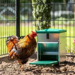 FEEDOMATIC - Mangeoire anti-nuisibles 8 kg pour 4 poules