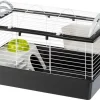 FERPLAST - Cage équipée Casita 80 pour grands rongeurs : longueur 78 cm