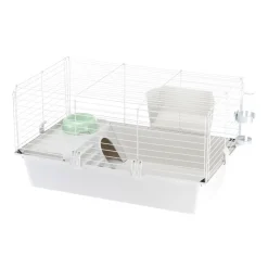 FERPLAST - Cage spacieuse pour cochons d'inde cavie 80, système de fermeture sécurité, accessoires inclus, en métal vernis gris et plastique